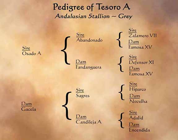 Tesoro Pedigree